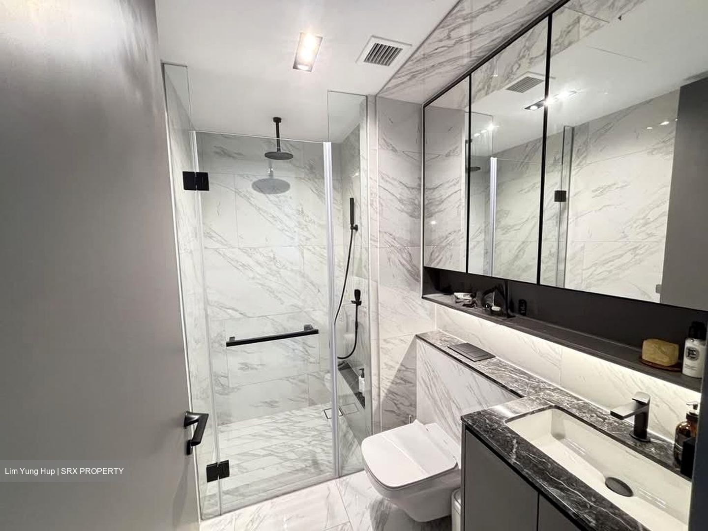 The Landmark (D3), Condominium #590508401